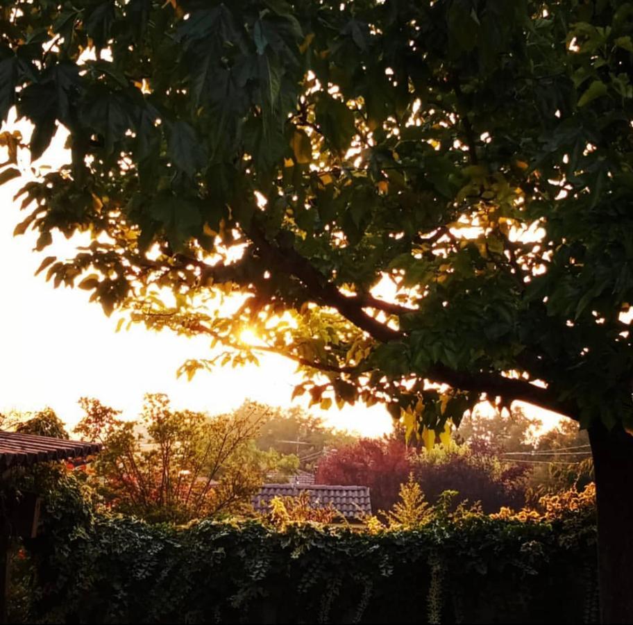 Anticacascina Bed & Breakfast Quarto  Dış mekan fotoğraf