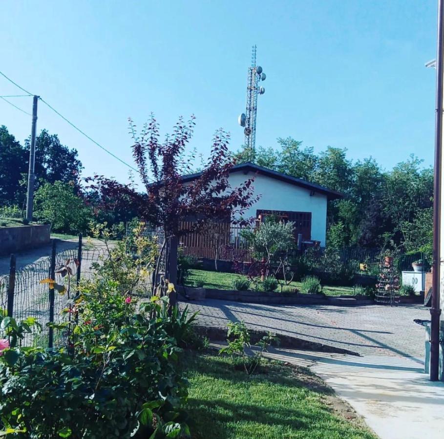 Anticacascina Bed & Breakfast Quarto  Dış mekan fotoğraf