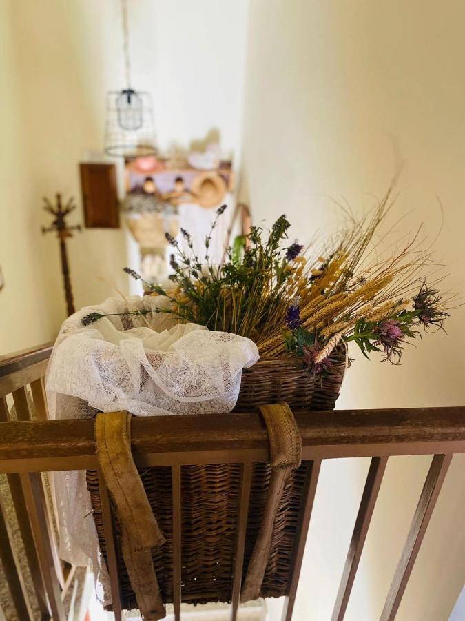 Anticacascina Bed & Breakfast Quarto  Dış mekan fotoğraf