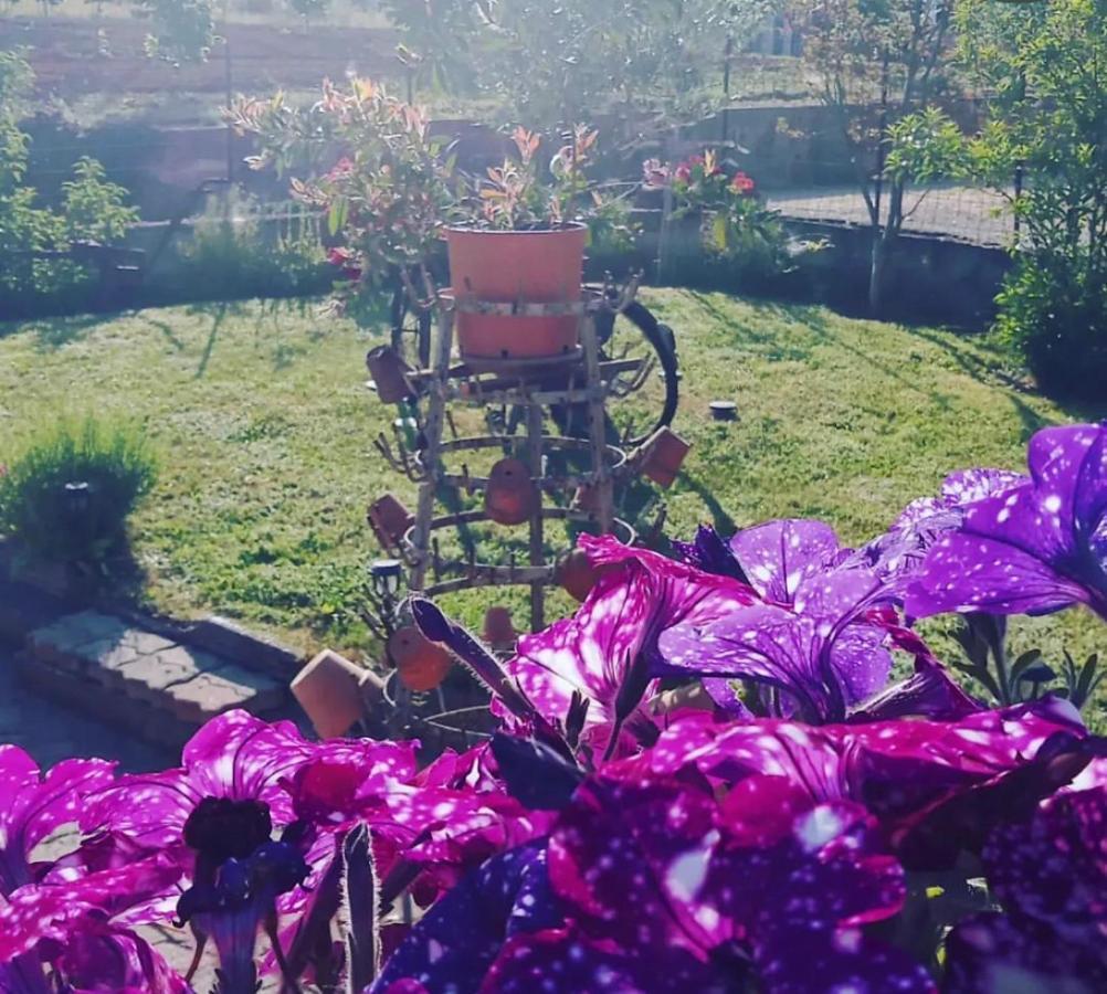 Anticacascina Bed & Breakfast Quarto  Dış mekan fotoğraf